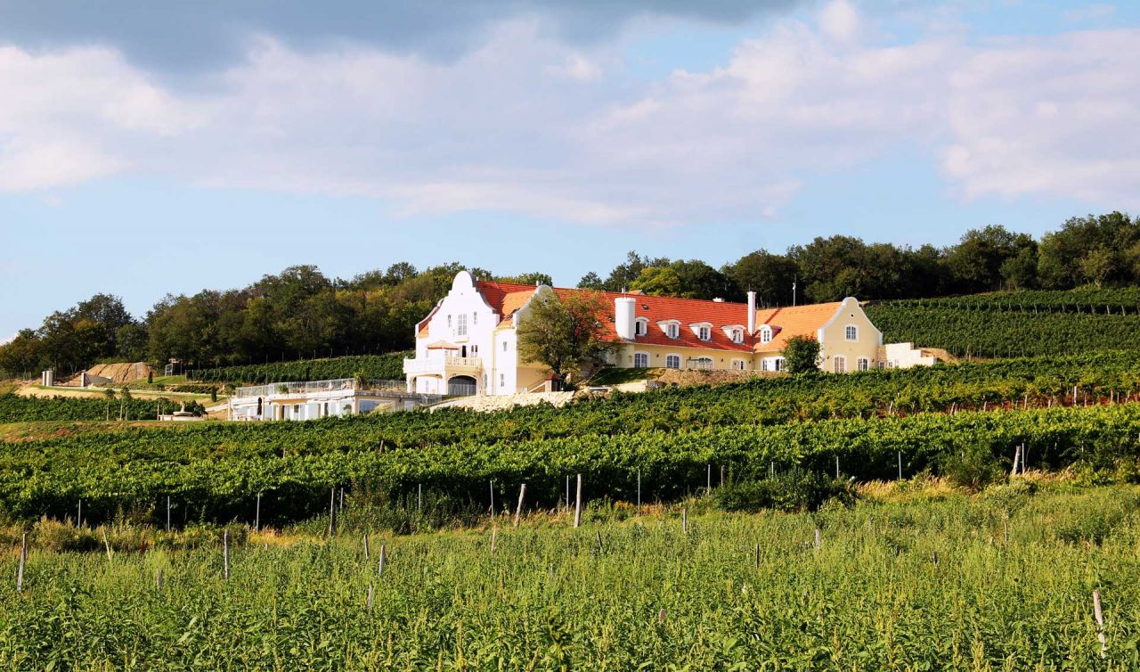 (AA) Außergewöhnlich: Exclusives Weingut &amp; First-Class Hotel oberhalb des Plattensees