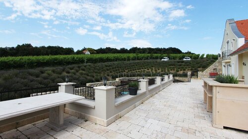(AA) Außergewöhnlich: Exclusives Weingut &amp; First-Class Hotel oberhalb des Plattensees (4035)