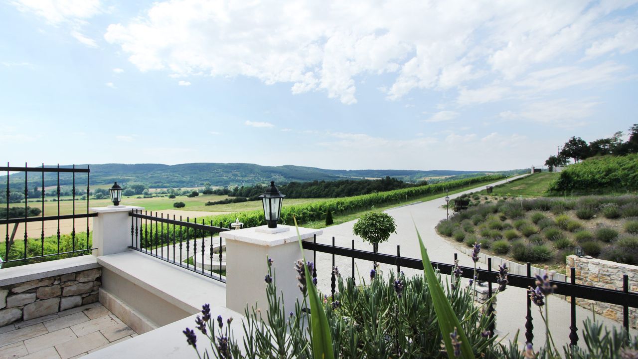 (AA) Außergewöhnlich: Exclusives Weingut & First-Class Hotel oberhalb des Plattensees (4035)