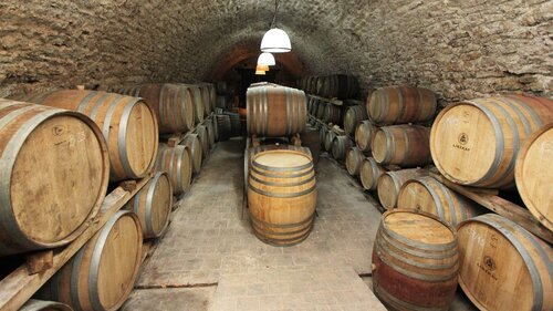 (AA) Außergewöhnlich: Exclusives Weingut &amp; First-Class Hotel oberhalb des Plattensees (4035)