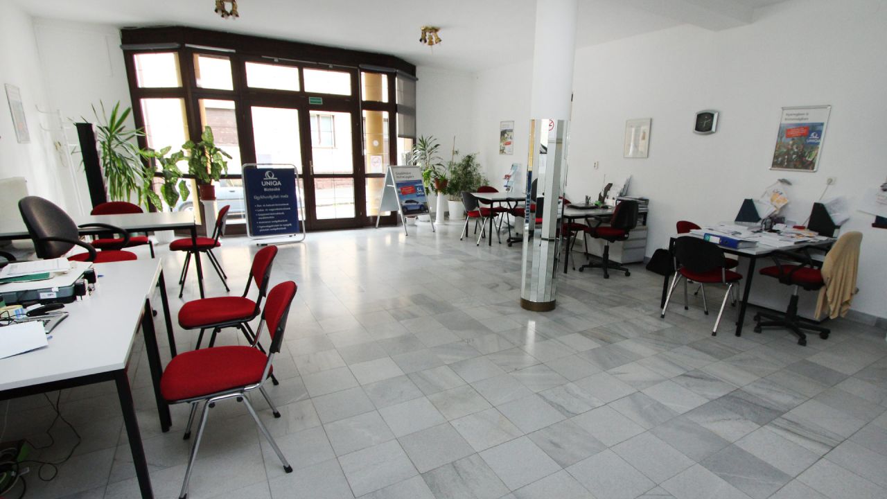 (ABA) Einfamilienhaus mit separaten Geschäftsräumen im Zentrum (11664-2)
