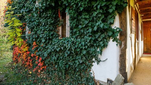 (AAA) Märchenbauernhof in traditionellem Stil und Alleinlage (33384-2)