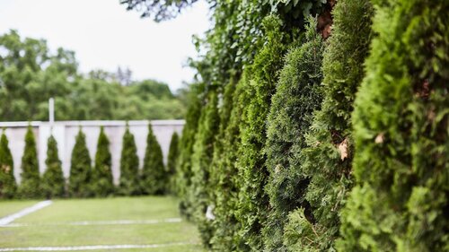 (AAA) Neuwertiges Mehrfamilienhaus mit 5 Eigentumswohnungen (66127)