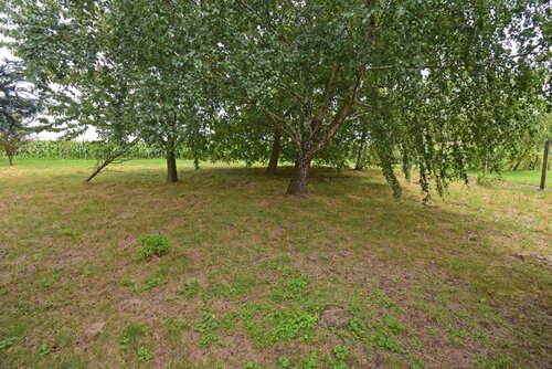 (BBA Neuwertiges Landhaus im Bungalowstil in ruhiger Gegend (FER2608)