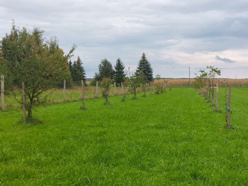 Neu renoviertes Landhaus Nähe Österreich mit großem Grundstück für Selbstversorger (WH3779-ANZ)