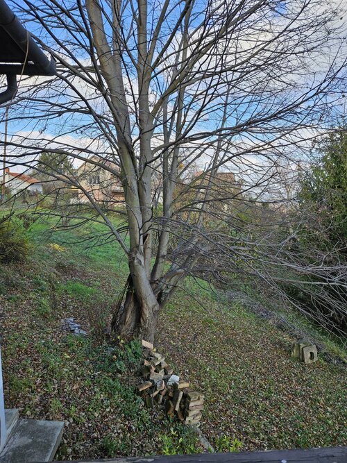 (ABAB) Enormes Entfaltungspotential mit Panoramablick über Zalaegerszeg (CM053)