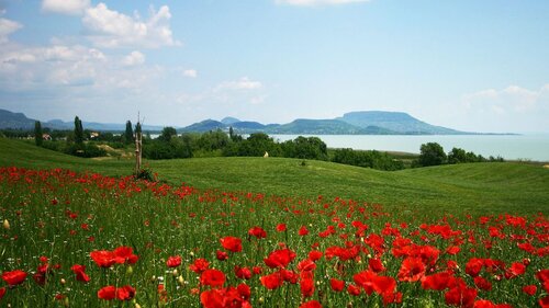 (AAAB) Einzigartige Investitionsmöglichkeit am Balaton: Golfplatz &amp; Segelhafen (44024)