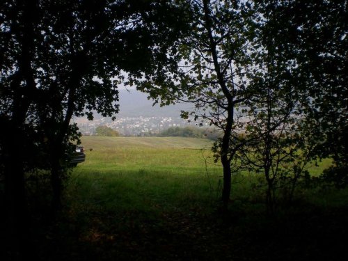 Außergewöhnlich schönes Projektgrundstück in Westungarn (CM120)