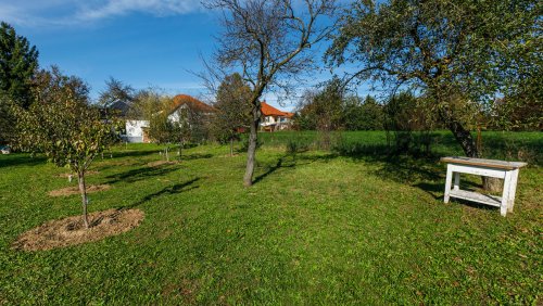 Einfamilienhaus im weltberühmten ungarischen Heilbad Hévíz (AAA) (33758)