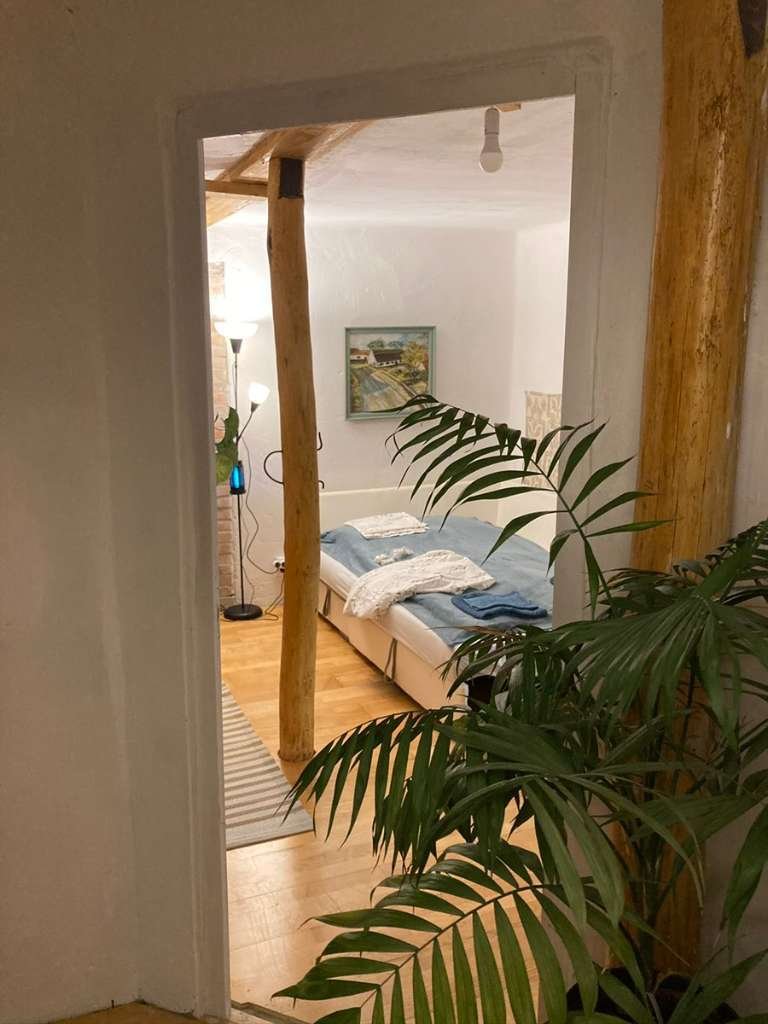 (BBA) 5 Pinzen / Häuser auf großem Grundstück in Alleinlage (WH9642)