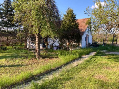(BBA) 5 Pinzen / Häuser auf großem Grundstück in Alleinlage (WH9642)