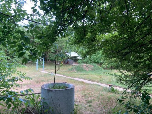 (BBA) 5 Pinzen / Häuser auf großem Grundstück in Alleinlage (WH9642)