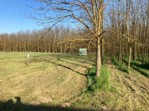 (BBA) 5 Pinzen / Häuser auf großem Grundstück in Alleinlage (WH9642)