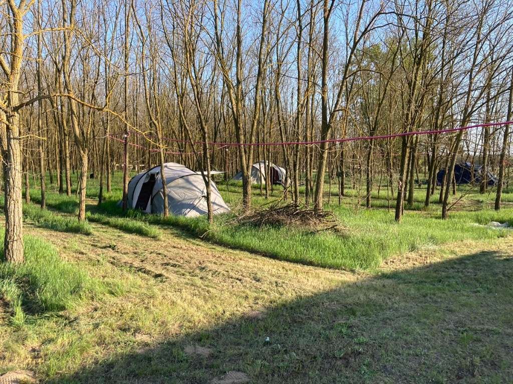 (BBA) 5 Pinzen / Häuser auf großem Grundstück in Alleinlage