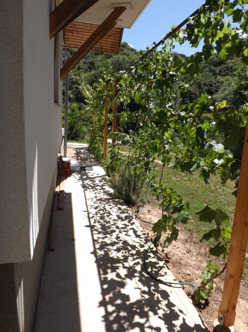 Völlig autark leben Nähe Balaton  auf großem Grundstück (AAA-CM174) (CM174-2)