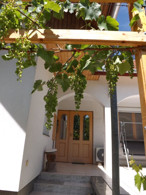 Völlig autark leben Nähe Balaton  auf großem Grundstück (AAA-CM174) (CM174-2)
