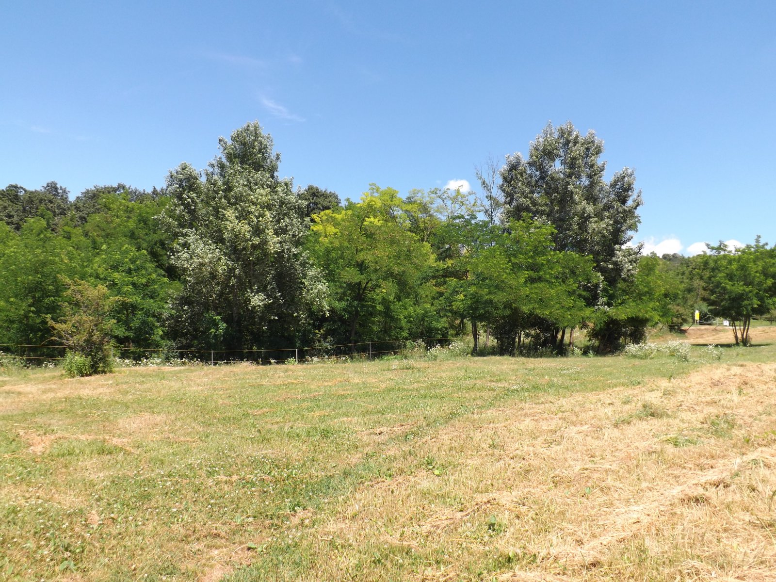 Völlig autark leben Nähe Balaton auf großem Grundstück (AAA-CM174) (CM174-2)