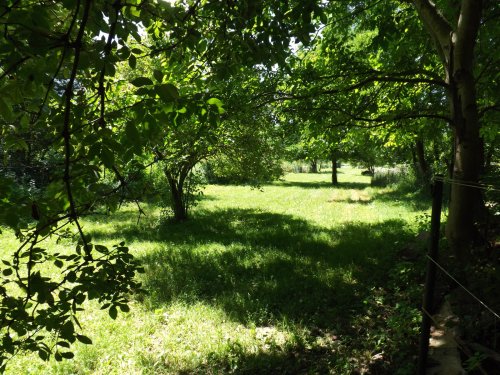 Völlig autark leben Nähe Balaton  auf großem Grundstück (AAA-CM174) (CM174-2)