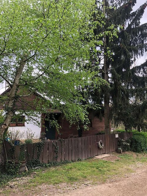 Verzaubertes Landhaus in Alleinlage Nähe Zalaegerszeg (AAA-33710) (33710-2)