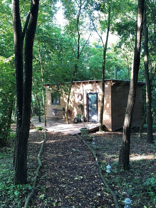 Verzaubertes Landhaus in Alleinlage Nähe Zalaegerszeg (AAA-33710) (33710-2)