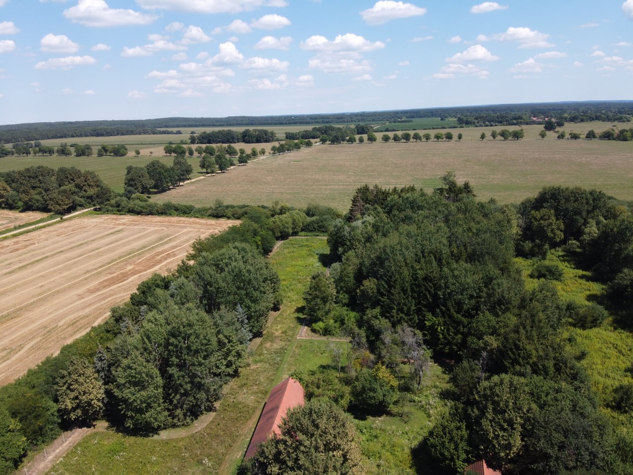 Renoviertes Herrenhaus mit großem Grundstück, ideal für Pferdebesitzer &amp; Ruhesuchende