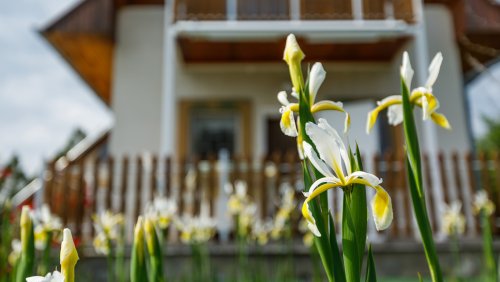 (AAA) Charmantes, erweiterungsfähiges Landhaus mit Weitblick – Ruhe &amp; Natur pur! (CM300)