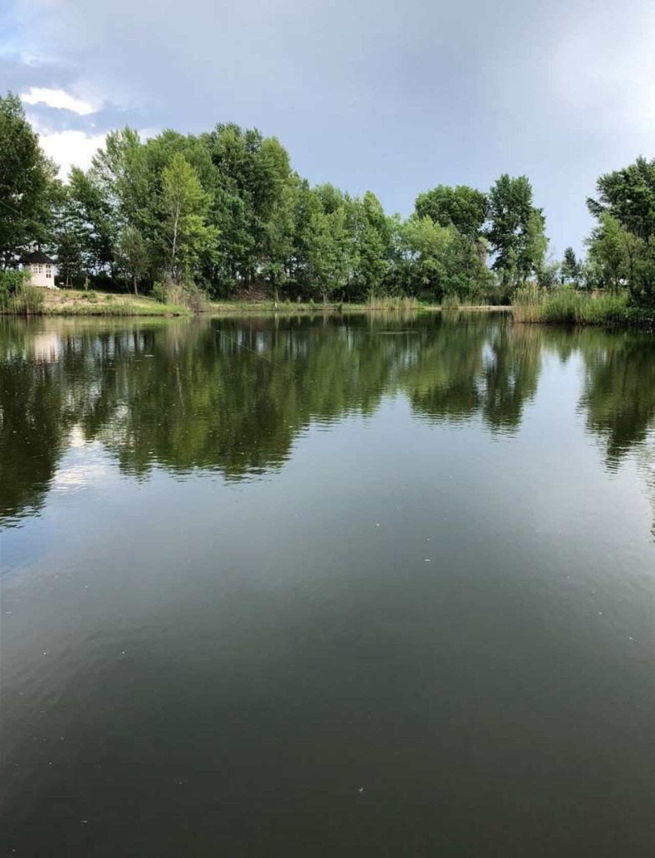 Exklusives Immobilienpaket mit Wohnhaus, Teich &amp; Naturparadies – 4 Ha Privatsphäre pur! (CM226)