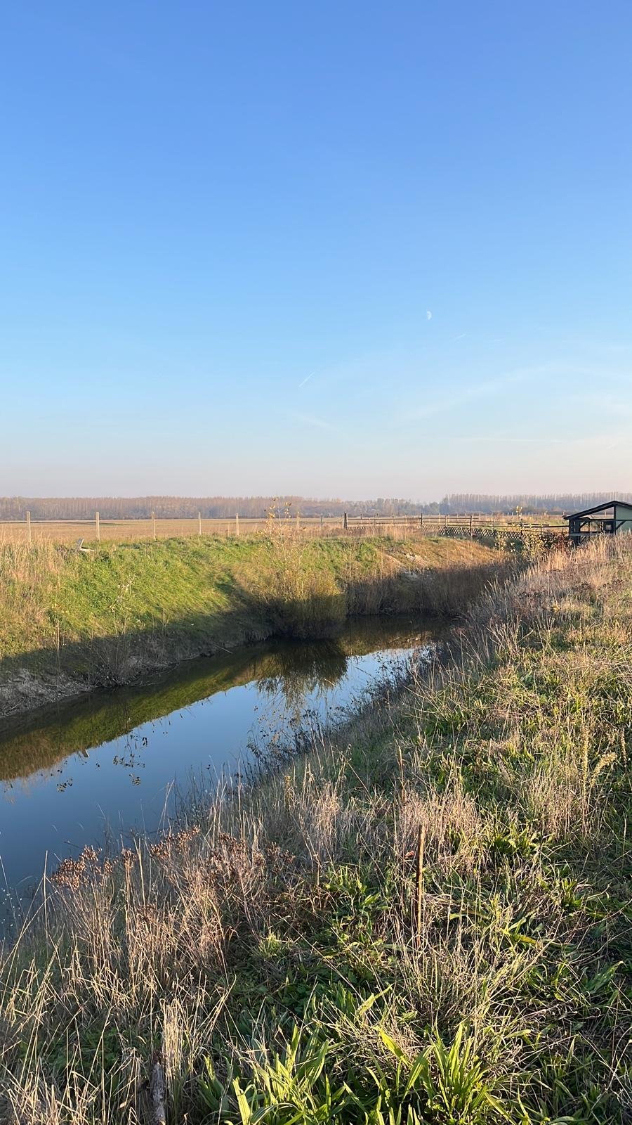 Exklusives Immobilienpaket mit Wohnhaus, Teich & Naturparadies – 4 Ha Privatsphäre pur! (CM226)