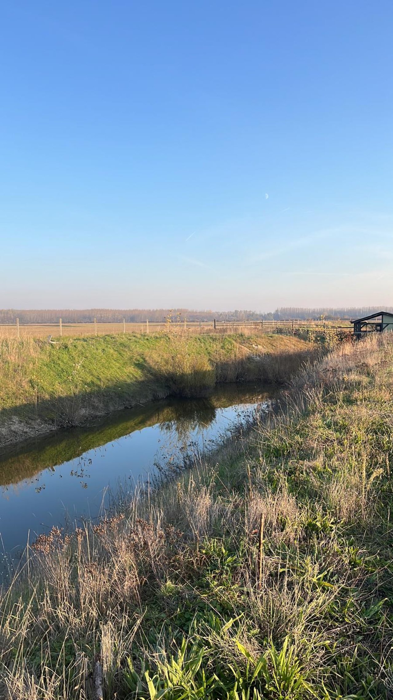 Exklusives Immobilienpaket mit Wohnhaus, Teich &amp; Naturparadies – 4 Ha Privatsphäre pur! (CM226)