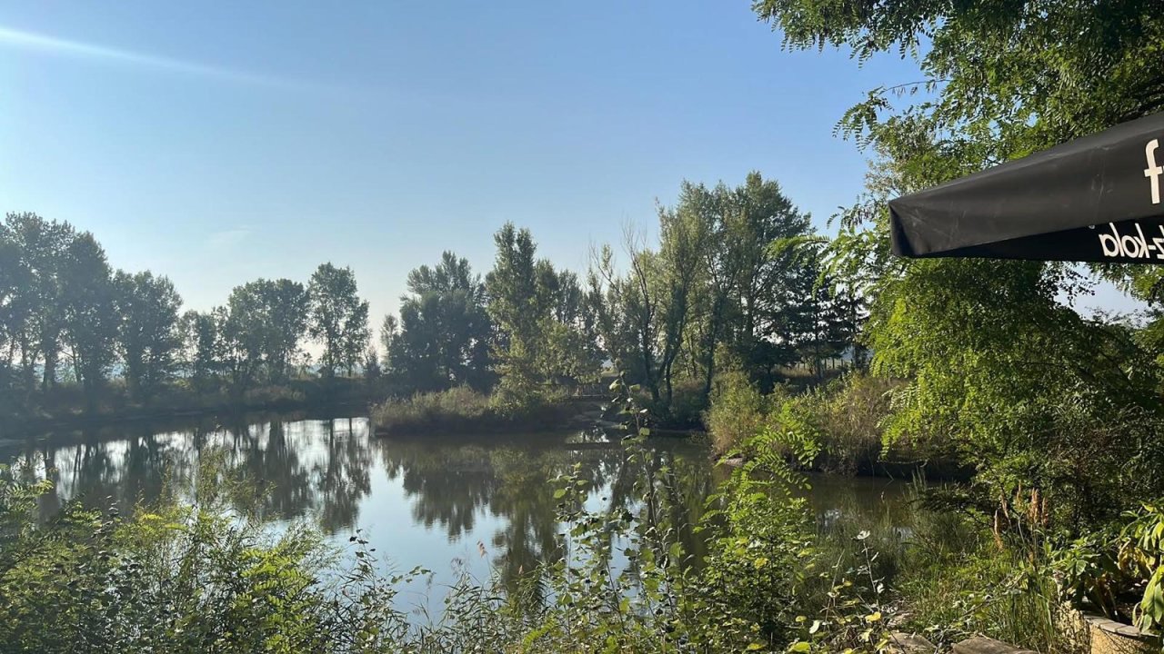 Exklusives Immobilienpaket mit Wohnhaus, Teich &amp; Naturparadies – 4 Ha Privatsphäre pur! (CM226)