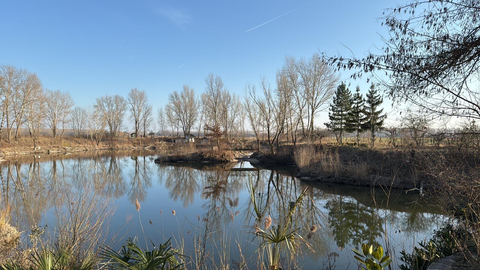 Exklusives Immobilienpaket mit Wohnhaus, Teich & Naturparadies – 4 Ha Privatsphäre pur! (CM226)