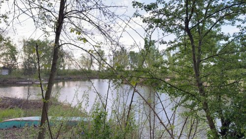 Exklusives Immobilienpaket mit Wohnhaus, Teich &amp; Naturparadies – 4 Ha Privatsphäre pur! (CM226)
