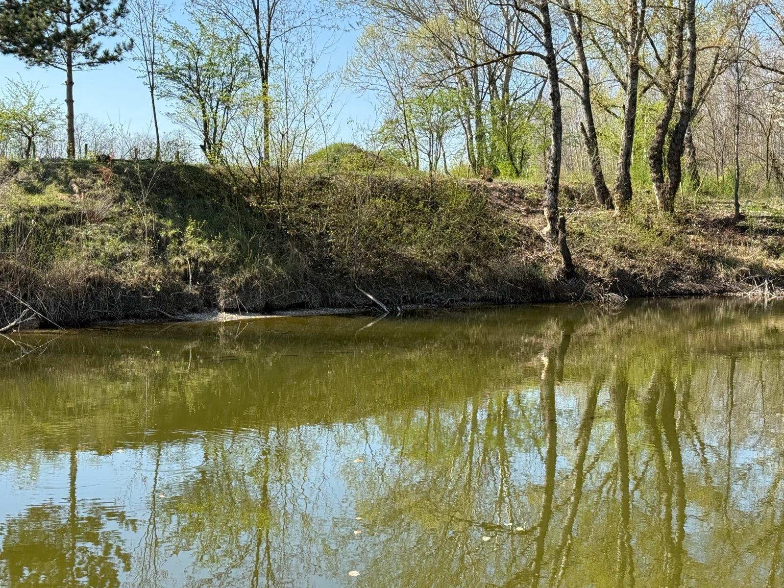 Exklusives Immobilienpaket mit Wohnhaus, Teich & Naturparadies – 4 Ha Privatsphäre pur! (CM226)