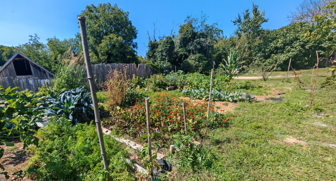 (BAA) Traumanwesen in Ungarn: 25.800 m² Grundstück, 180 m² Wohnfläche – ideal für Pferdehaltung und Selbstversorger (AAA) (MW003)