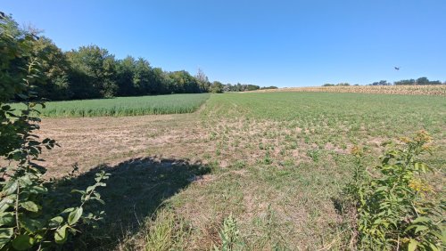 (BAA) Traumanwesen in Ungarn: 25.800 m² Grundstück, 180 m² Wohnfläche – ideal für Pferdehaltung und Selbstversorger (AAA) (MW003)