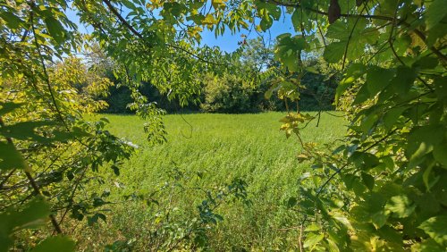 (BAA) Traumanwesen in Ungarn: 25.800 m² Grundstück, 180 m² Wohnfläche – ideal für Pferdehaltung und Selbstversorger (AAA) (MW003)