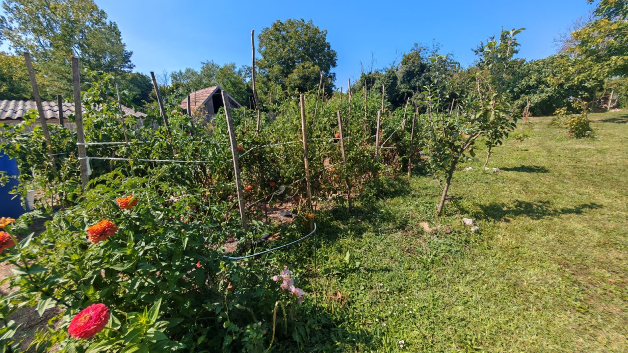 (BAA) Traumanwesen in Ungarn: 25.800 m² Grundstück, 180 m² Wohnfläche – ideal für Pferdehaltung und Selbstversorger (AAA) (MW003)