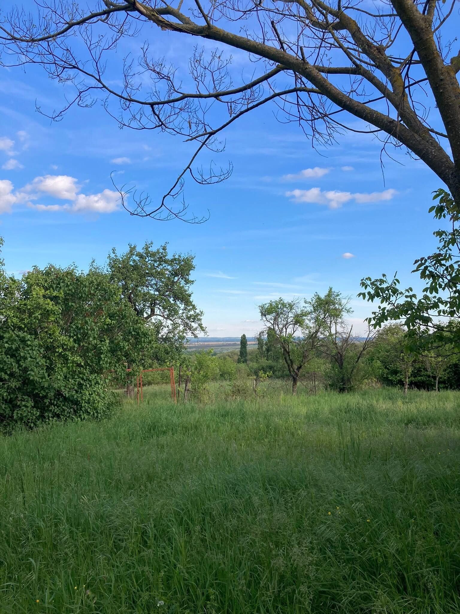 (ACA) Weinberghaus mit Balatonblick & traumhaftem Grundstück bei Héviz (CM133)