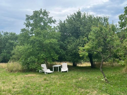 (ACA) Weinberghaus mit Balatonblick &amp; traumhaftem Grundstück bei Héviz (CM133)