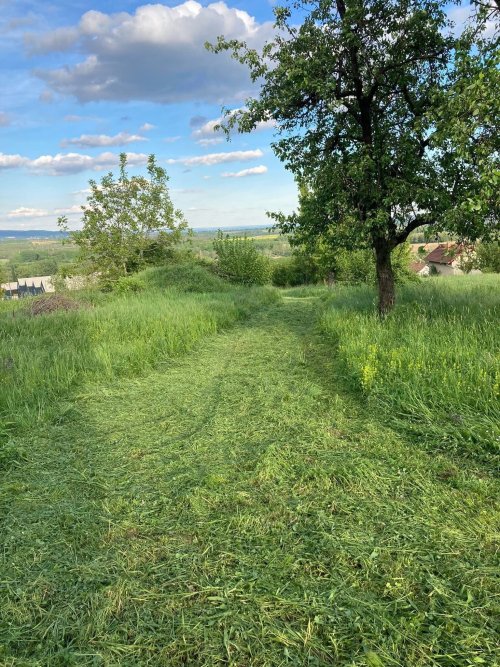 (ACA) Weinberghaus mit Balatonblick &amp; traumhaftem Grundstück bei Héviz (CM133)