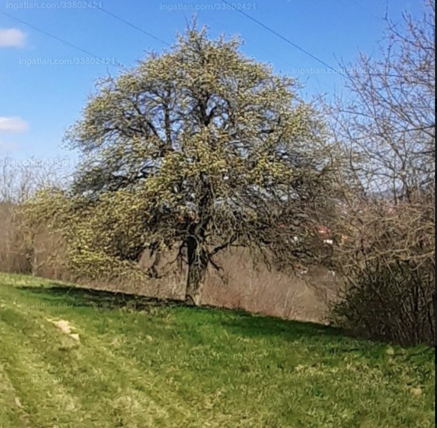 Großes Grundstück mit Fernblick be Héviz, ein tolles Investment (A-A)