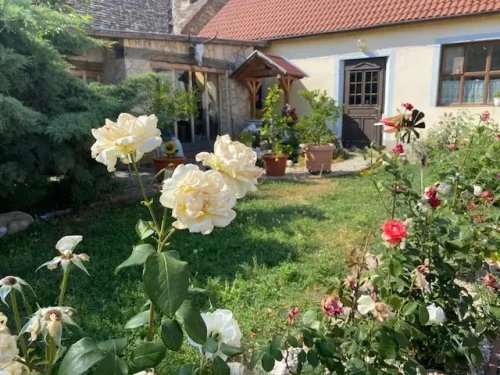 (ABA) Idyllischer &amp; privater Vierseit-Hof mitten in den Weinbergen (IS4526)