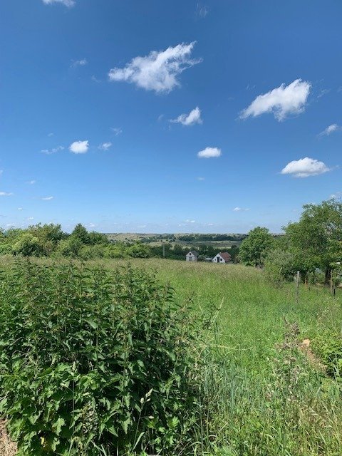 Panoramagrundstück mit Haus im Balaton-Oberland (ACA)