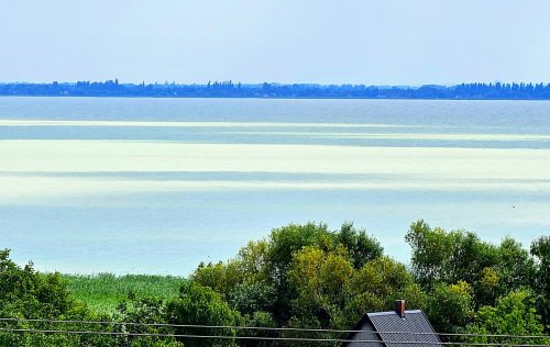 (AAA) Einzigartiges Panorama-Anwesen am Nordufer (KK015)