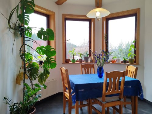 (AAA) Gepflegtes Familienhaus mit Panoramablick Nähe Österreich (RV024)