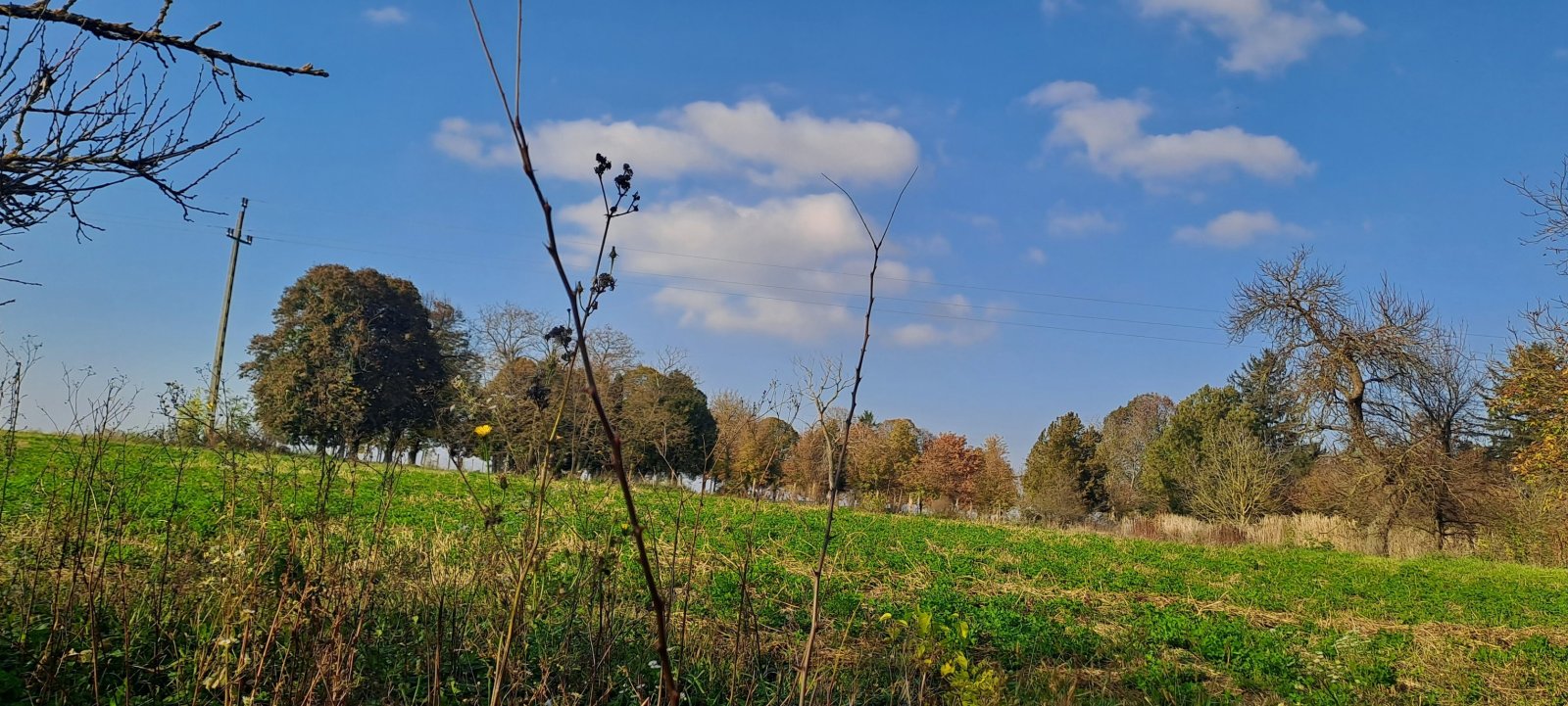 (CAA) Einfamilienhaus mit viel Platz und ländlicher Ruhe