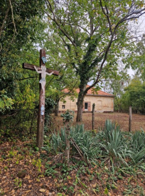 (ACA) Altes Schulhaus im Jugendstil mit viel Potential (ROG08)