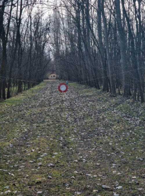 () Alter Bauernhof mit mehr als 8 Hektar Wald/Land (ROG07)