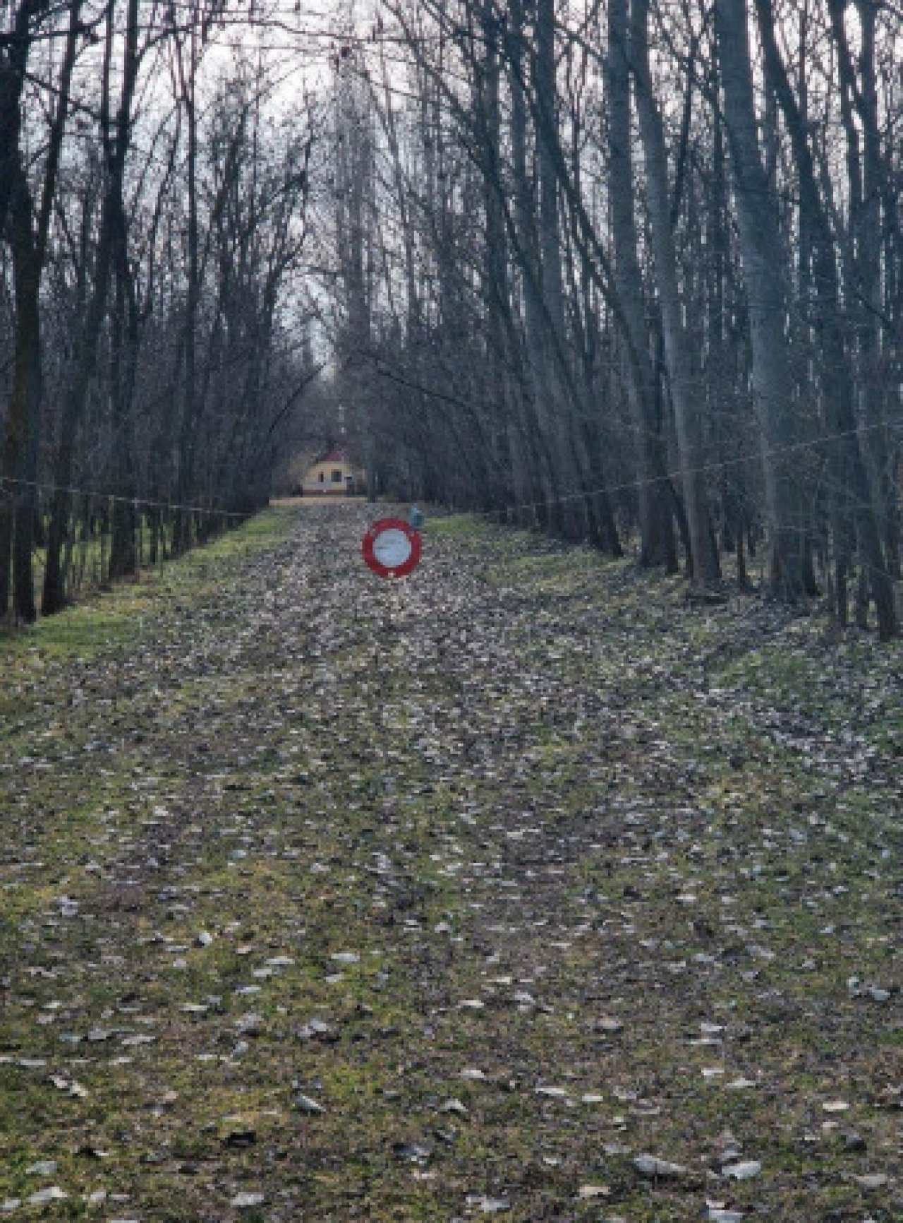 () Alter Bauernhof mit mehr als 8 Hektar Wald/Land (ROG07)