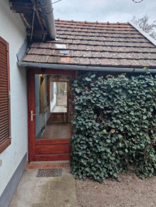 (ACA) Jagdhaus im Staatswald in Südungarn (ROG10)